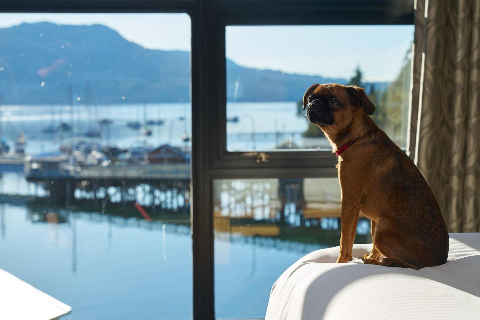 Brentwood Bay Resort & Spa Экстерьер фото