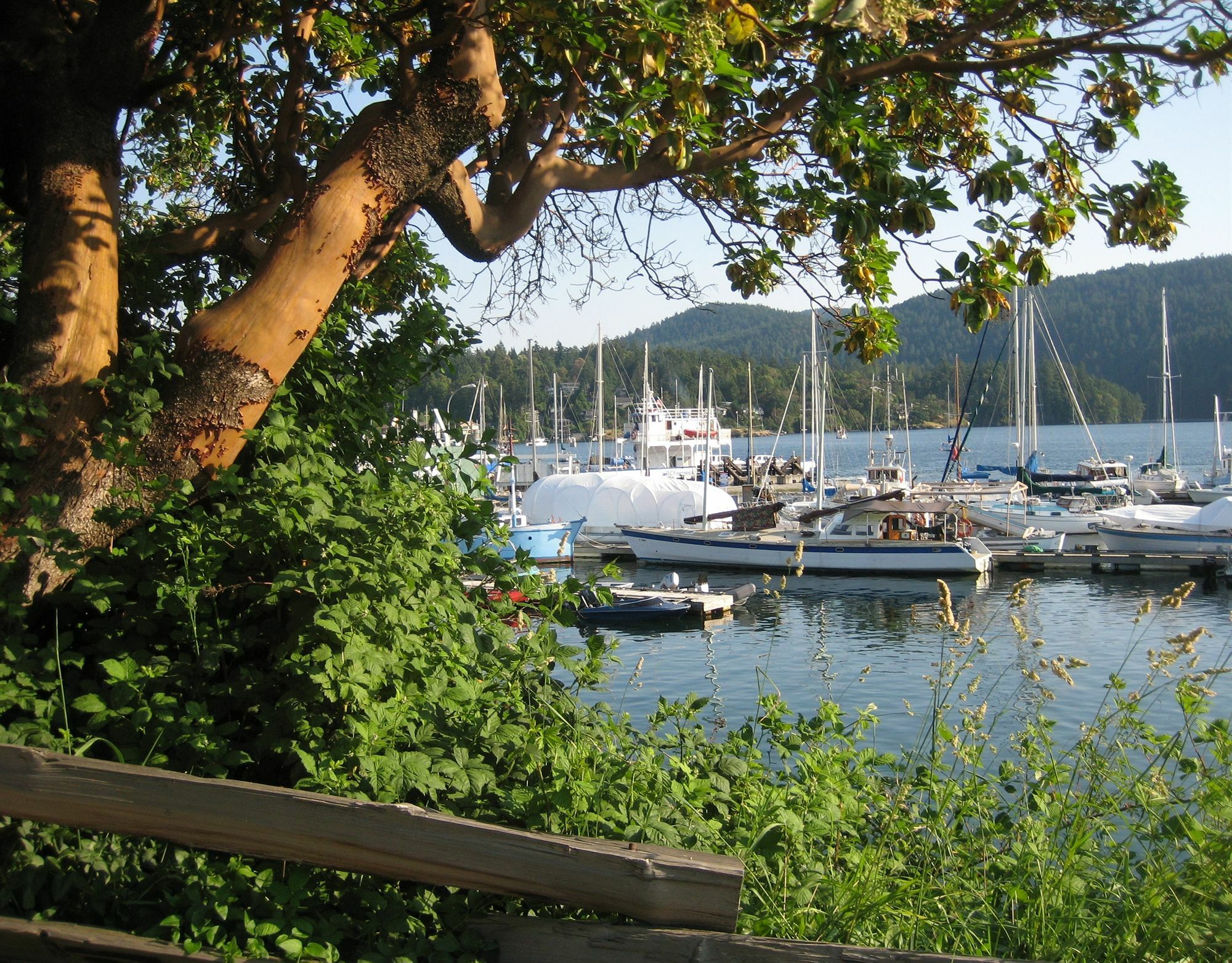 Brentwood Bay Resort & Spa Экстерьер фото
